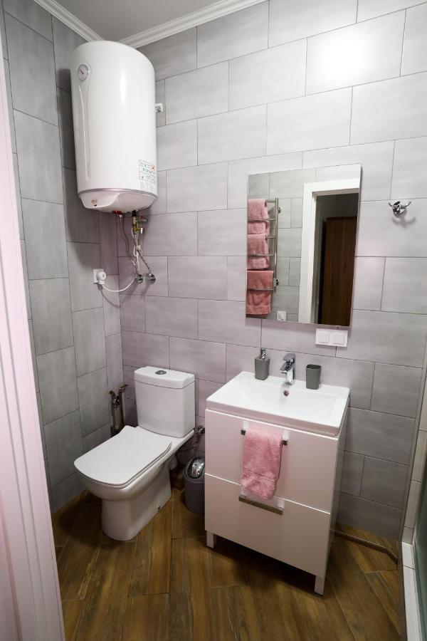 סביטיאז Apartments Ocheret מראה חיצוני תמונה